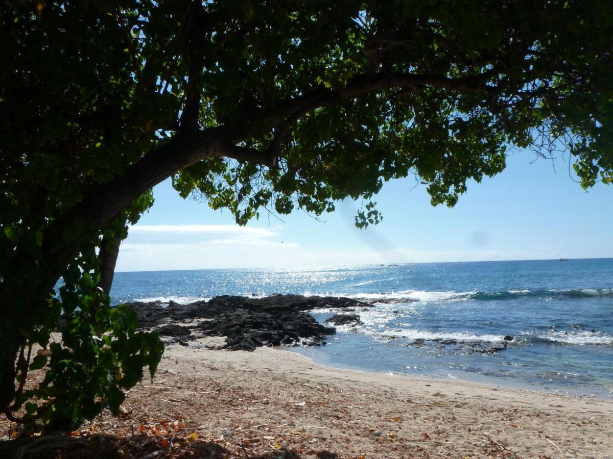 Downtown Hawaiian Paradise Condo With Hot Tub, Pool & Beach - Kona Islander Inn Kailua-Kona Exterior photo
